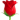 1f339.png