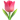 1f337.png
