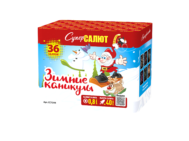 Зимние каникулы  1