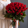 Роза 50 см красная 51 шт  2